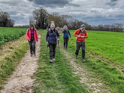 ARCISSES  10 ET 15 KM