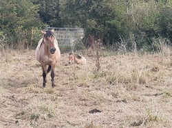 Côte d'Opale sept 2024: 1/4