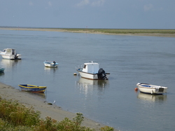 Côte d'Opale sept 2024: 1/4