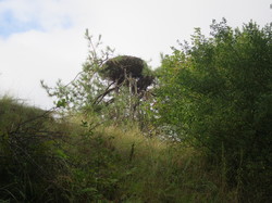 Côte d'Opale sept 2024: 1/4