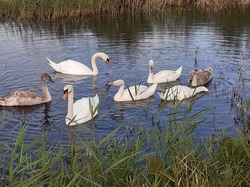 Côte d'Opale sept 2024: 1/4