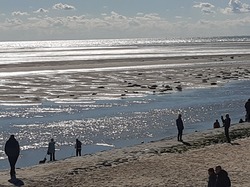 Côte d'Opale sept 2024: 4/4