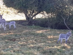 Côte d'Opale sept 2024: 4/4