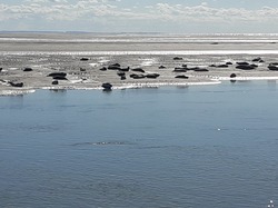 Côte d'Opale sept 2024: 4/4