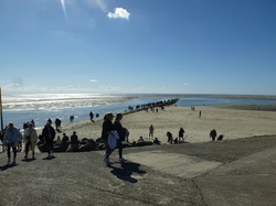 Côte d'Opale sept 2024: 4/4