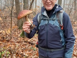 Dampierre-en-Yvelynes