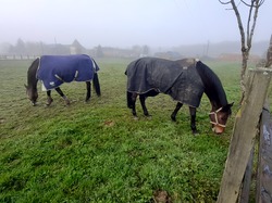 Dampierre-en-Yvelynes