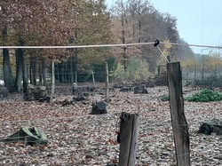 Dampierre-en-Yvelynes