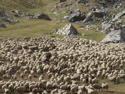 Derniers Echos de Réchastel