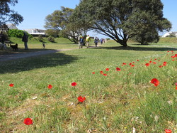 Du Pouliguen au Croisic