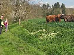 Fontaine-les-Ribouts