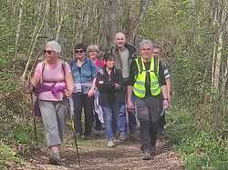 Fontaine-les-Ribouts