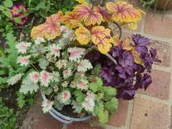 Hartencourt (le jardin)