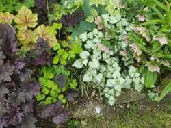 Hartencourt (le jardin)