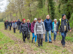 HOUVILLE LA BRANCHE 10 KM