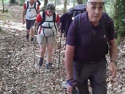 La Chapelle Montligeon (+25kms)