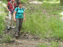 La Chapelle Montligeon (+25kms)