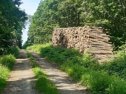 La Chapelle Montligeon (+25kms)