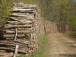 La Chapelle Montligeon