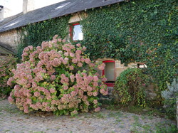 La Pierre Bleue mardi