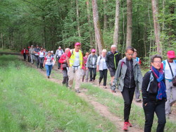 Lac de la forêt d'Orient :dimanche