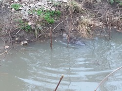 Les Hauts de Chartres+Galettes
