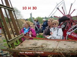 Les pommiers en fleurs