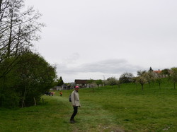 Les pommiers fleuris