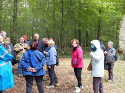 Maquis de Plainville 2/2 (Commentaires et visite du site)