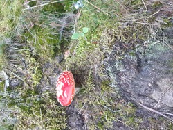 Oct 2023 Séjour Alsace 1/6