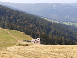 Oct 2023 Séjour Alsace 2/6