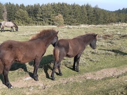 Oct 2023 Séjour Alsace 2/6