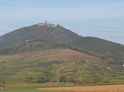 Oct 2023 Séjour Alsace 3/6