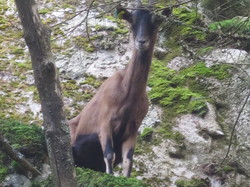 Oct 2023 Séjour Alsace 4/6