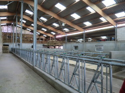 Oct 2023 Séjour Alsace 4/6