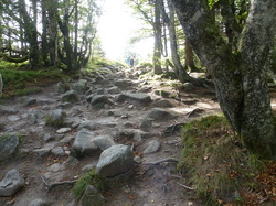 Oct 2023 Séjour Alsace 6/6