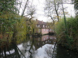 Randos du vendredi : novembre