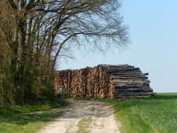 Saint Chéron des Champs