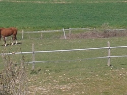 Saint Chéron des Champs