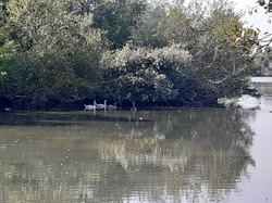 Saint-Georges-sur-Eure