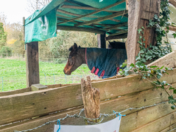 SAINT MARTIN DE NIGELLES 11 KM