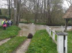 Saint-Martin-de-Nigelles