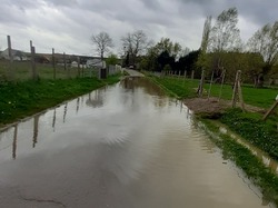 Saint-Martin-de-Nigelles