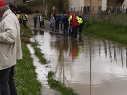 Saint-Martin-de-Nigelles