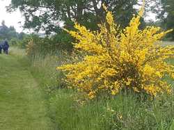 SAINT MAUR SUR LE LOIR