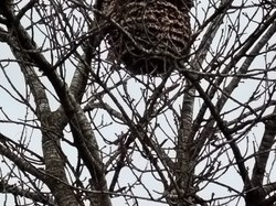 SAINT SYMPHORIEN 10 KM