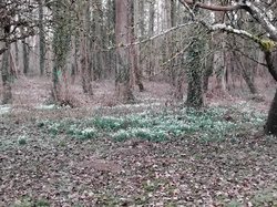 SAINT SYMPHORIEN 10 KM