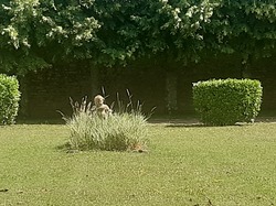 Sainte-Gauburge la rando