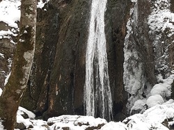 Séjour raquettes CDRP28