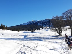 Séjour raquettes CDRP28